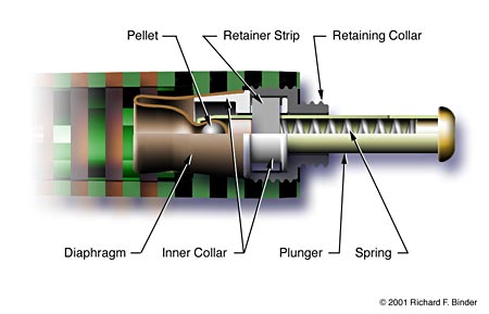 The Vacumatic filling system