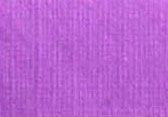 Violette Pensée