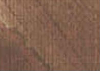Jansen Darkbrown